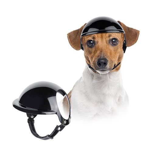 comparatif casque moto chien