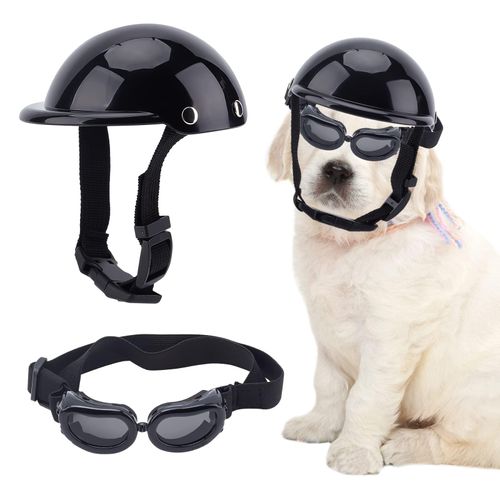 meilleur casque moto chien