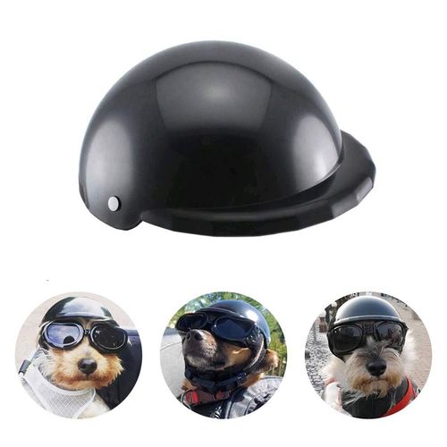 meilleur rapport qualite prix casque moto chien