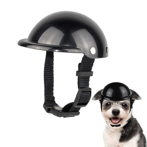 quel casque moto chien choisir