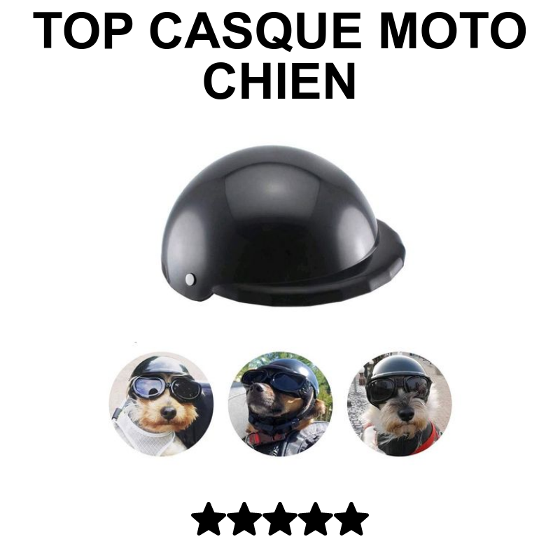 Casque Moto Pour Chien Imperméable Et Ajustable - Protection Confortable Pour Vélo, Skate, Randonnée